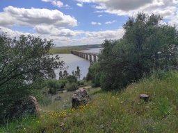 Flora del Cerro Masatrigo